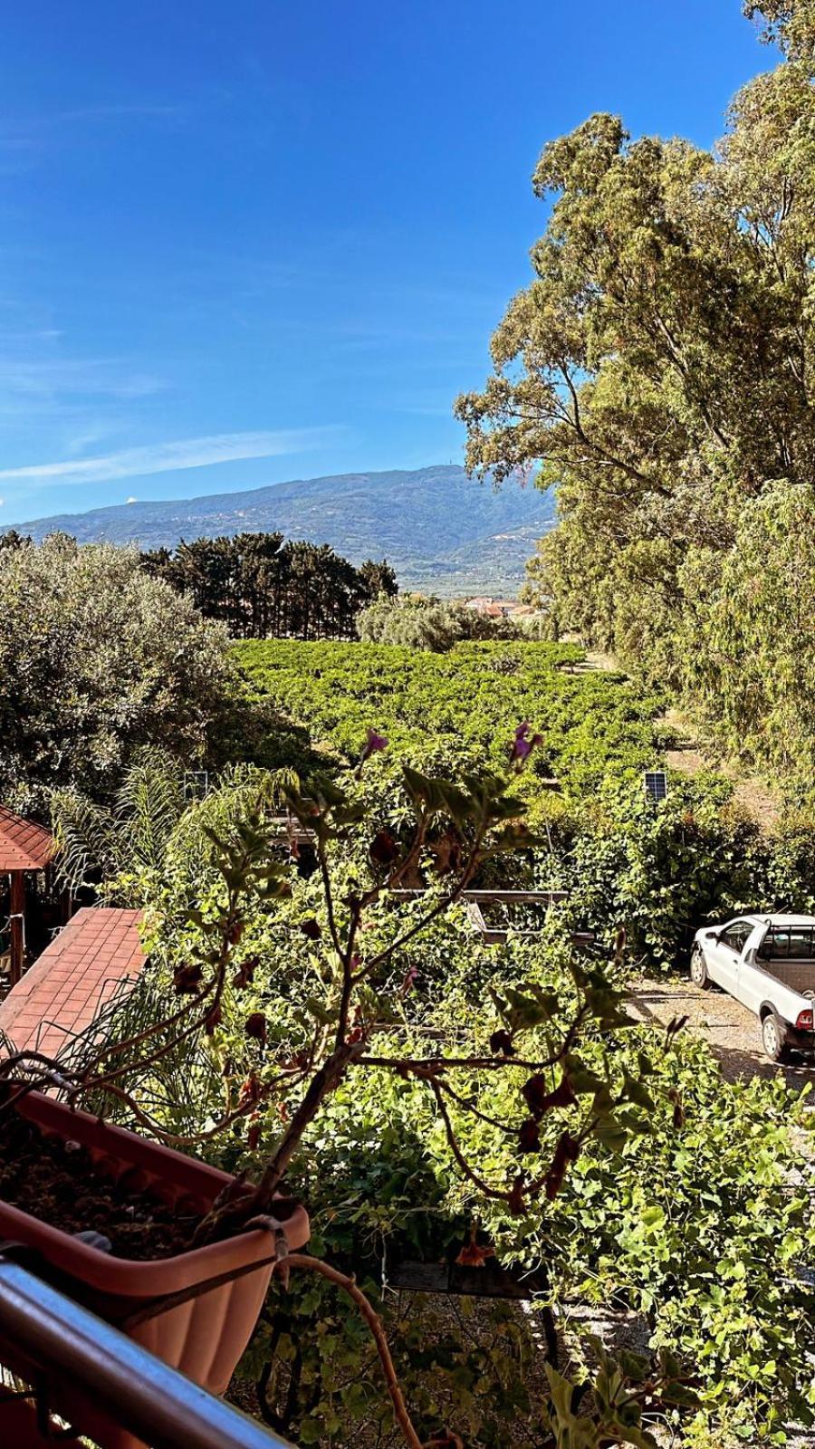 B&B Pineta Mare Lamezia Terme Dış mekan fotoğraf