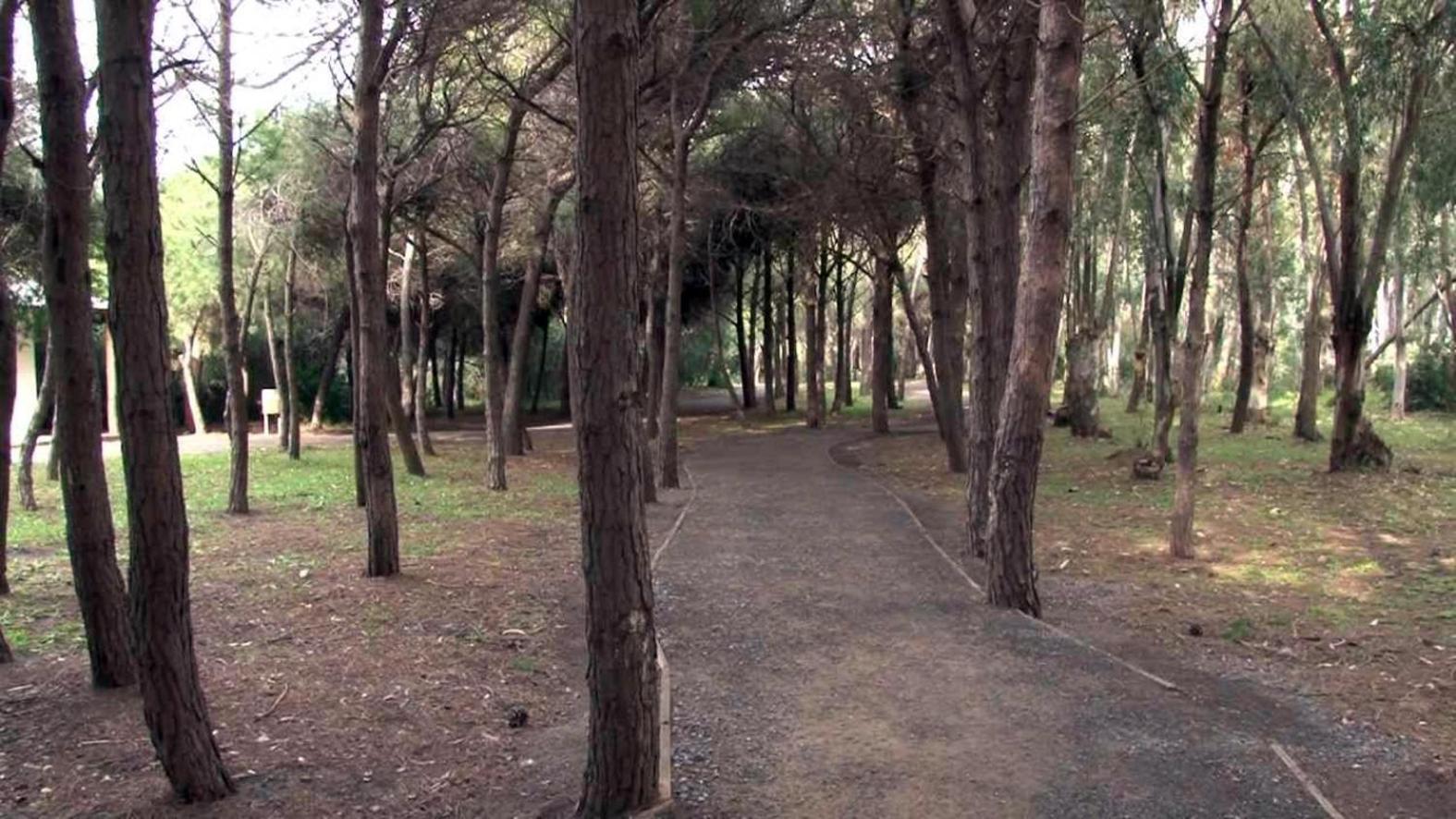 B&B Pineta Mare Lamezia Terme Dış mekan fotoğraf